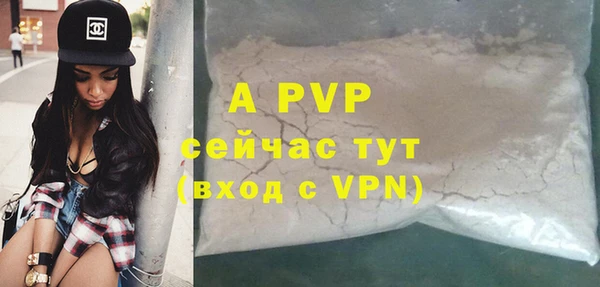 ешки Алексин