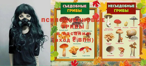 эйфоретик Алексеевка