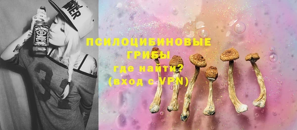 ешки Алексин