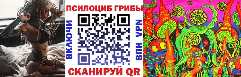где найти Минусинск Галлюциногенные грибы MAGIC MUSHROOMS